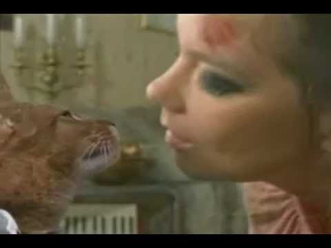 Sophisticated Cat Finally Bought a Boat 