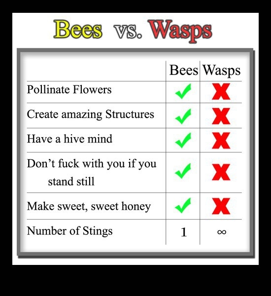 Bees vs. wasps 