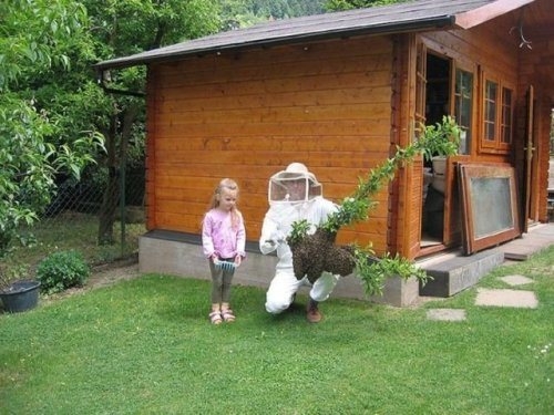planting in a bee suit