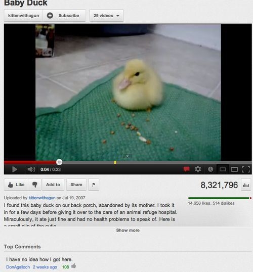 The Funniest Youtube Comments. 