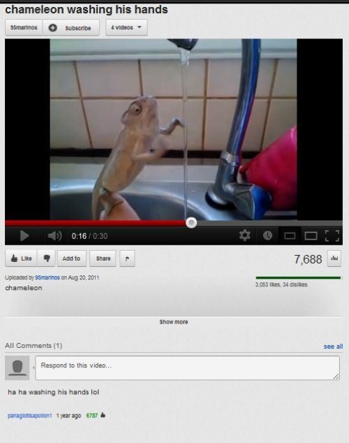 The Funniest Youtube Comments. 