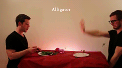 How an alligator eats its food