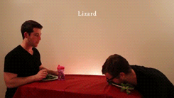 How a lizard eats its food