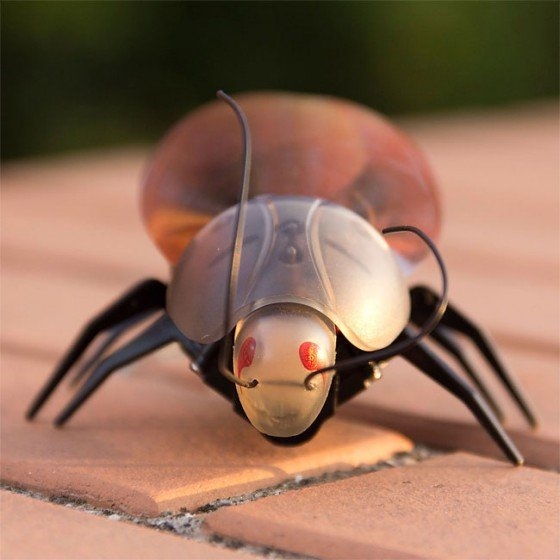 Now You Can Make Insects Fly From Your iPhone 