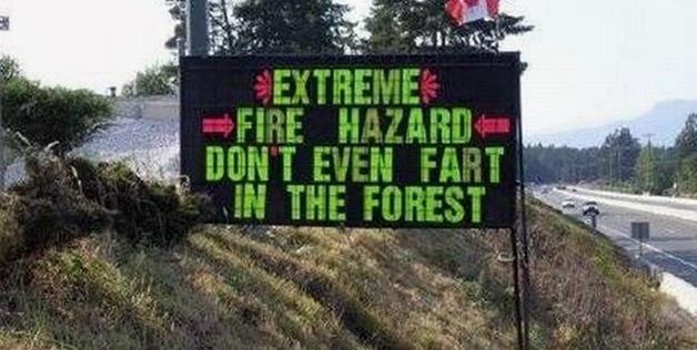 Don't Fart You Might Start A Forest Fire 