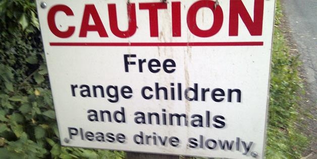 Free Range Children 