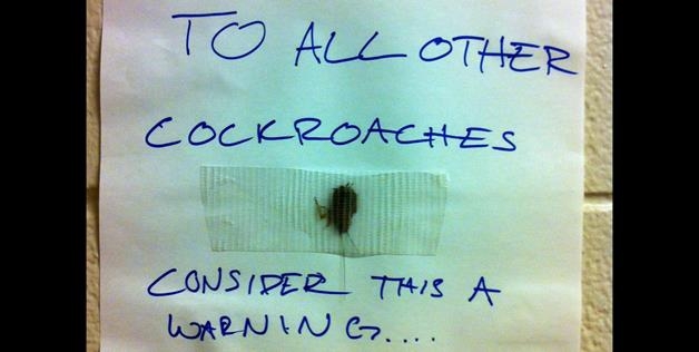 Warning to cockroaches 
