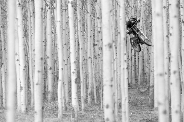 Mountain Bike Shot through the trees 