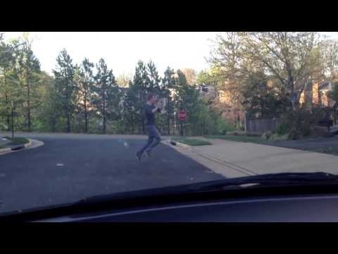 If Humans Crossed the Street Like Animals 