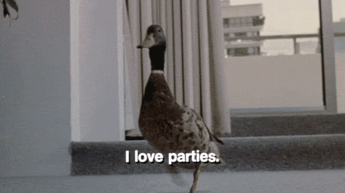 Duck Loves To Party 