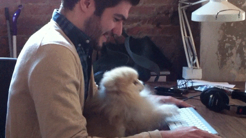 Dog Playing Piano 