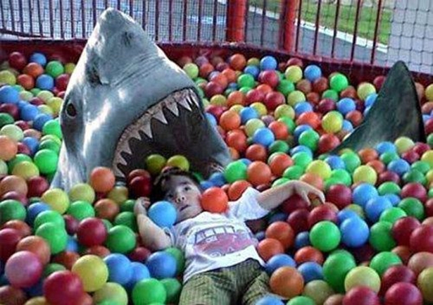 Shark in the ball pit 