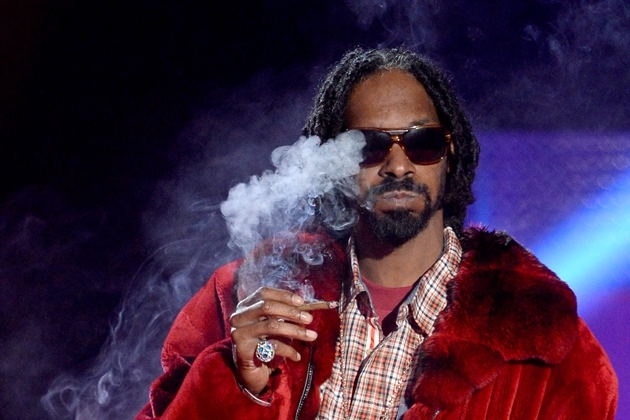 Snoop Lion’s 420 Festival Was Mad Chill But Still Shut Down 