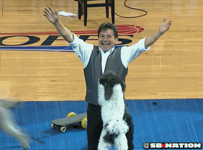 Dogs Backflipping During NBA Playoffs Game Is Mesmerizing
