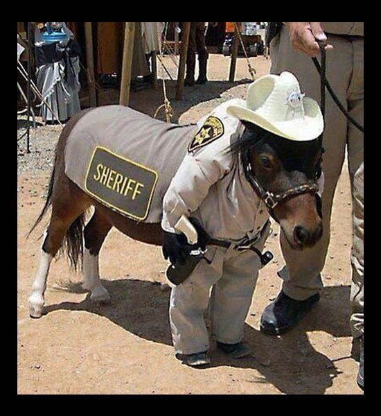 New Sheriff In Town 