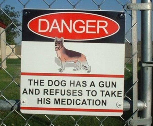 Danger Dog 