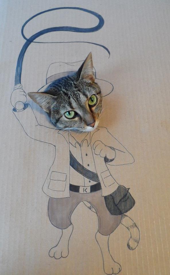 Indiana Jones Cat