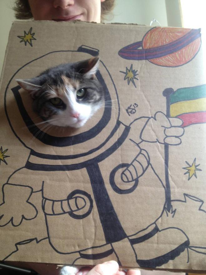 Astronaut Cat