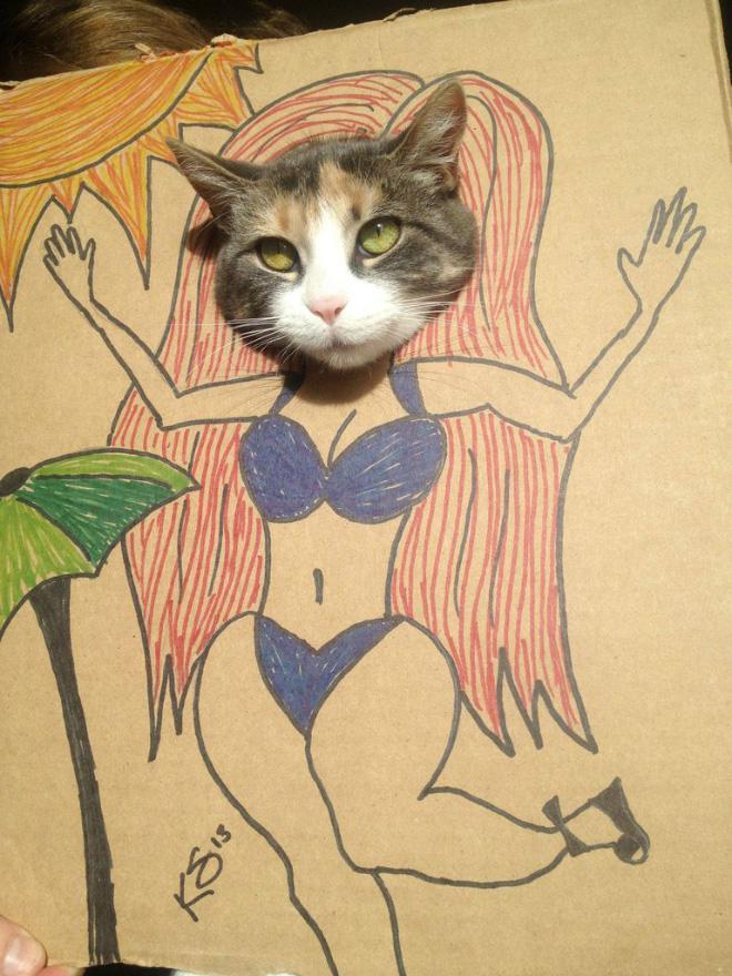 Bikini Shoot Cat