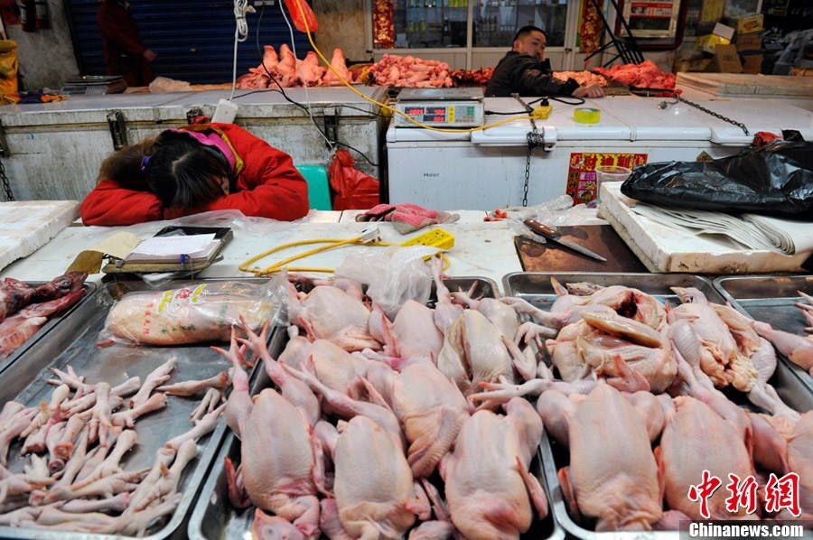 New Deadly Bird Flu Strain In China!