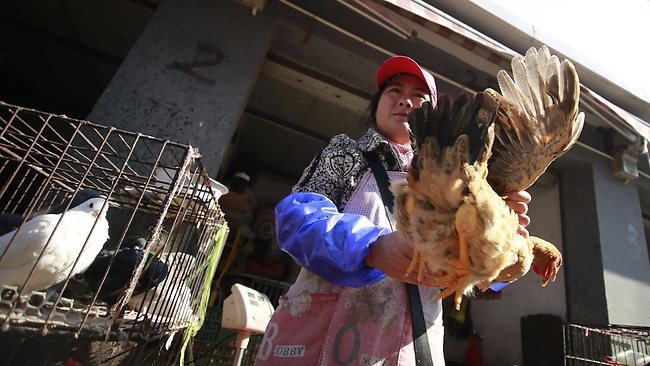 New Deadly Bird Flu Strain In China!