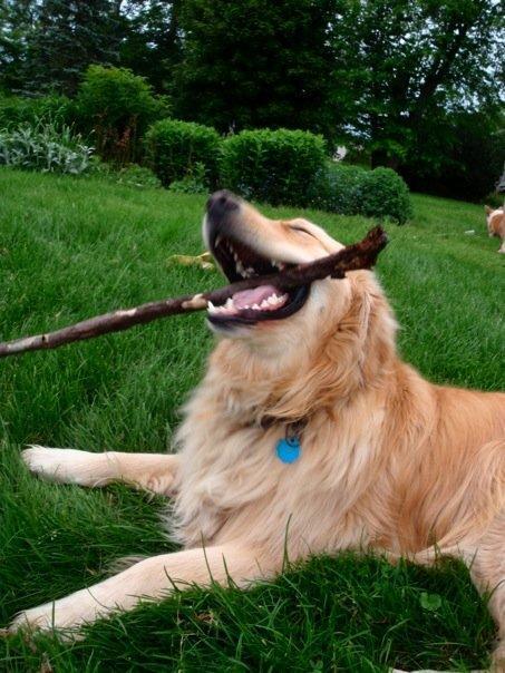 Yesss! The Stick!