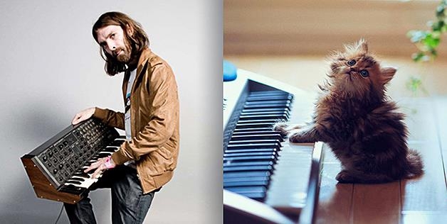 piano cat 