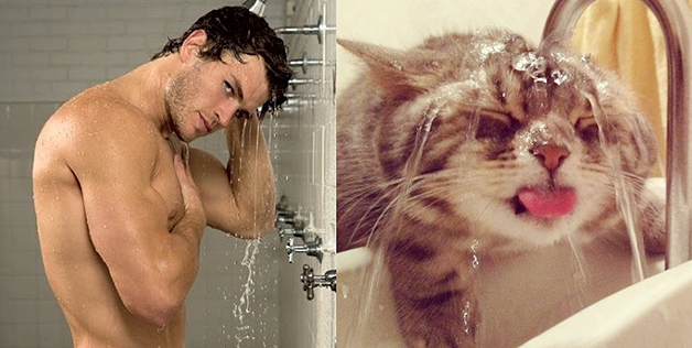 Shower time Kitty 