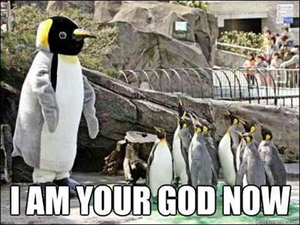 Penguin God 