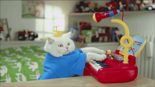 Keyboard cat 