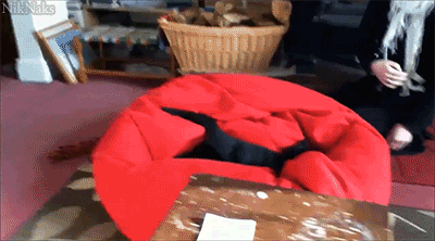 Cat Jumping Into Beanbag Chair 