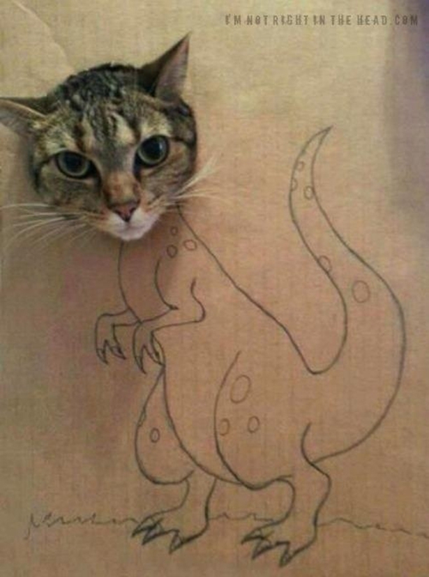 Kitty Dinosaur 
