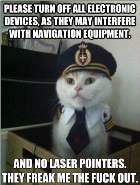 Cats in Captain Hats is the new 'In Thing'. 