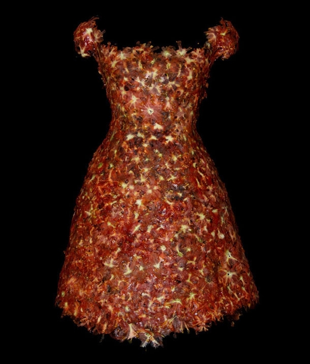 Exquisite Dresses Created From Healthy Foods