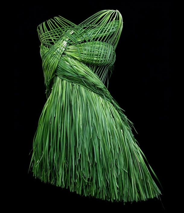 Exquisite Dresses Created From Healthy Foods