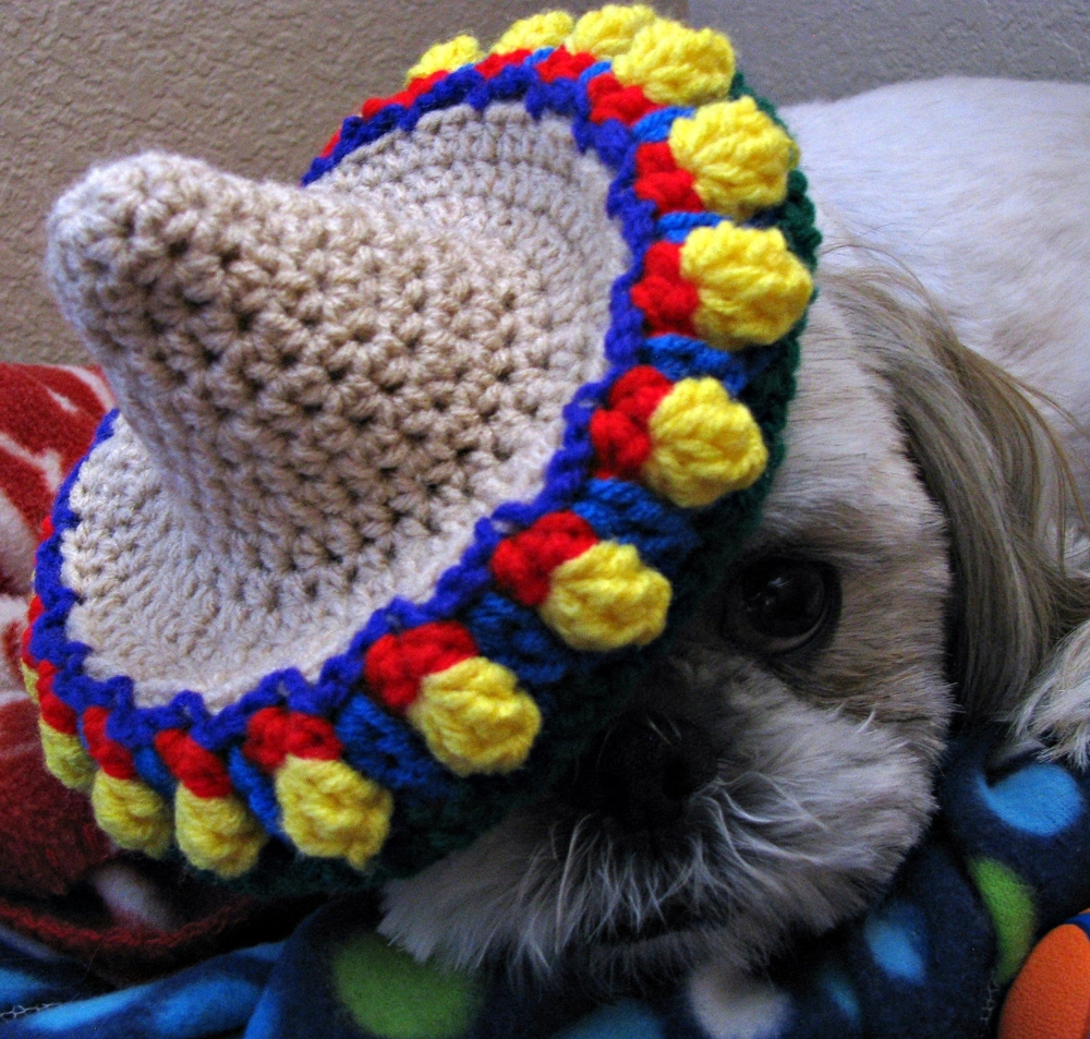 10 Dogs Who Are Psyched For Cinco De Mayo.
