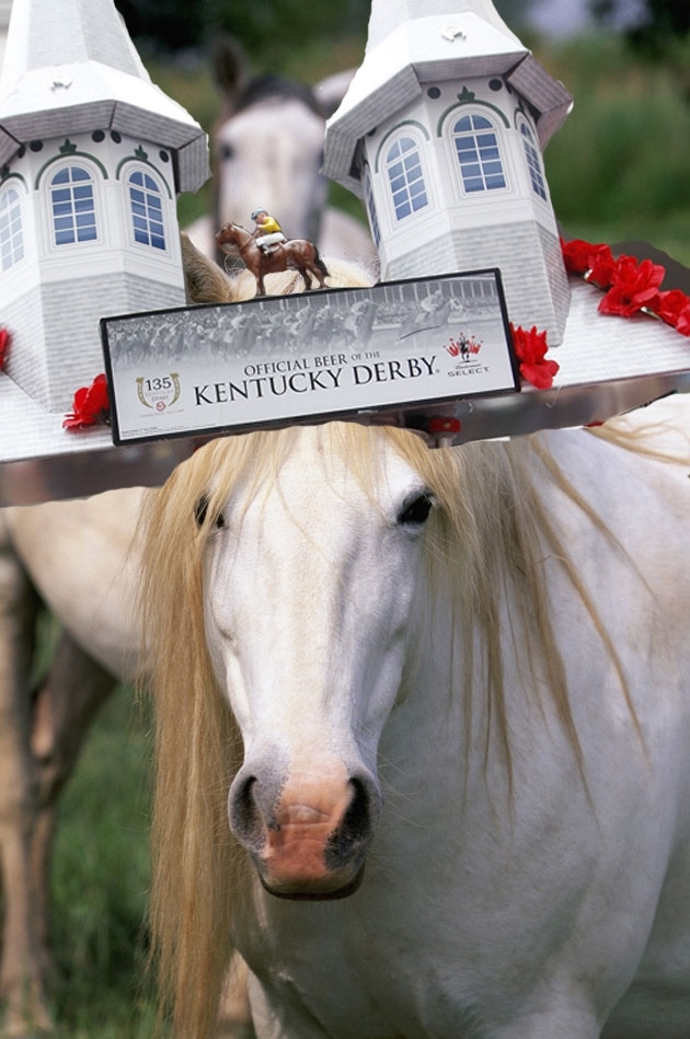 10 Horses Wearing Kentucky Derby Hats