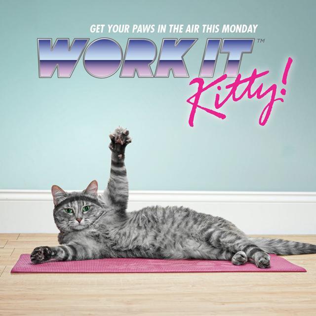 Work It Kitty!