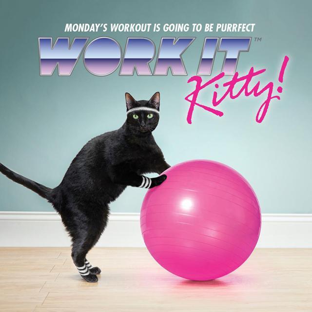 Work It Kitty!