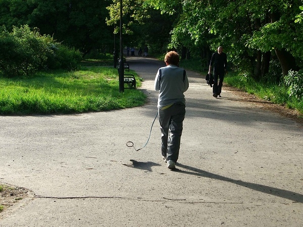 Invisible Dogs in Poland by Weronika Krzemieniecka