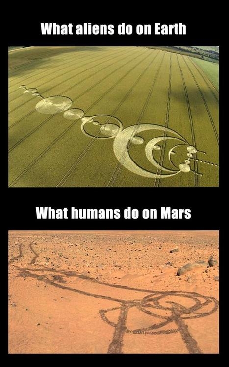 Aliens Vs. Humans 
