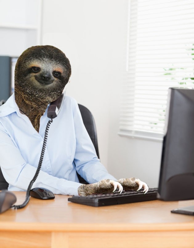 9 Sloths Who Are Working for the Weekend