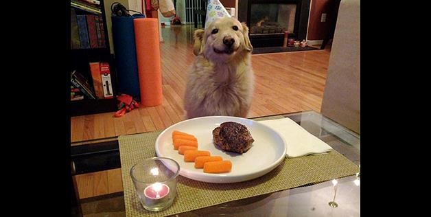 Happy Birthday Pup 
