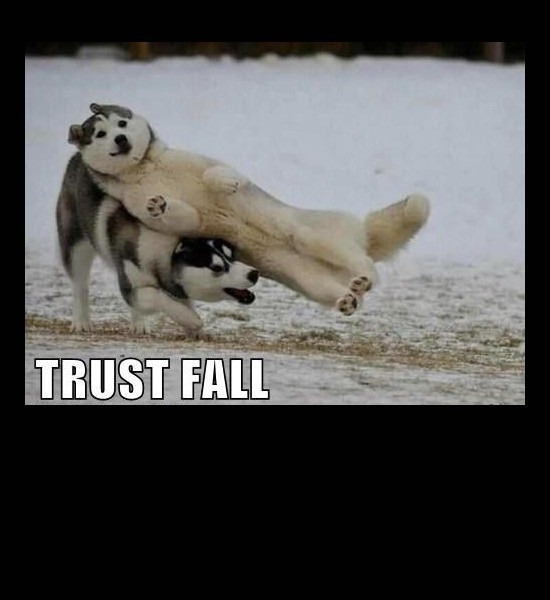 Trust Fall! 