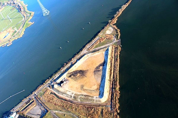 This Gigantic Face Represents Women's Rights In Holland