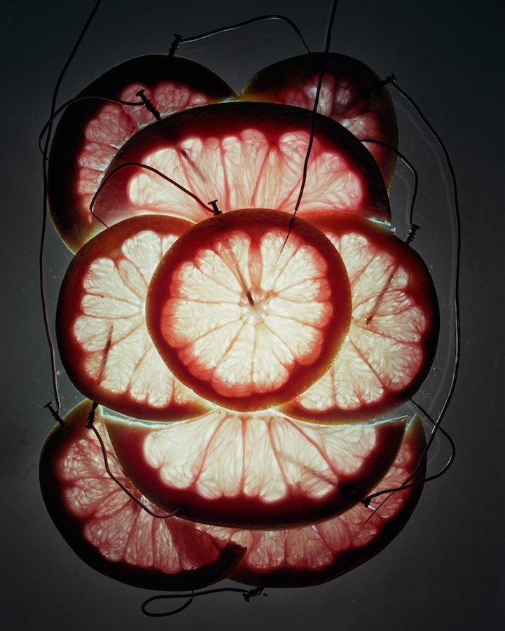 Grapefruit and Pomelo Battery