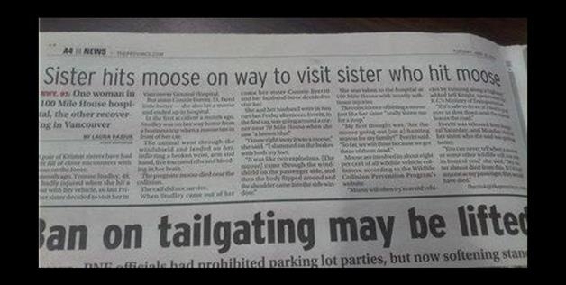 Sister Hits Moose 