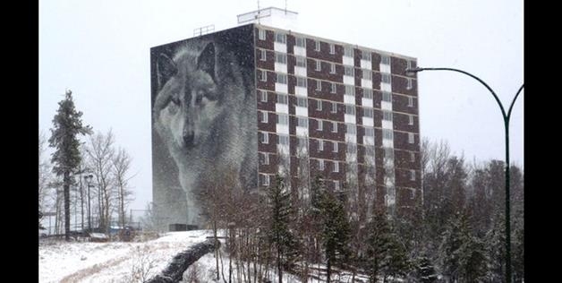 Wolf Building 