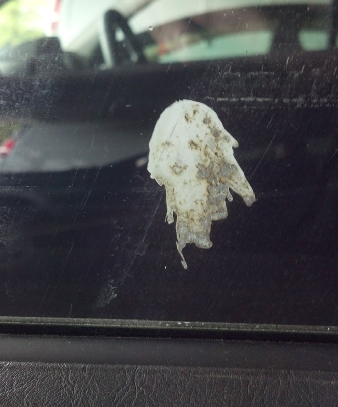 18. Holy Sh*t it Looks Like a Woman!