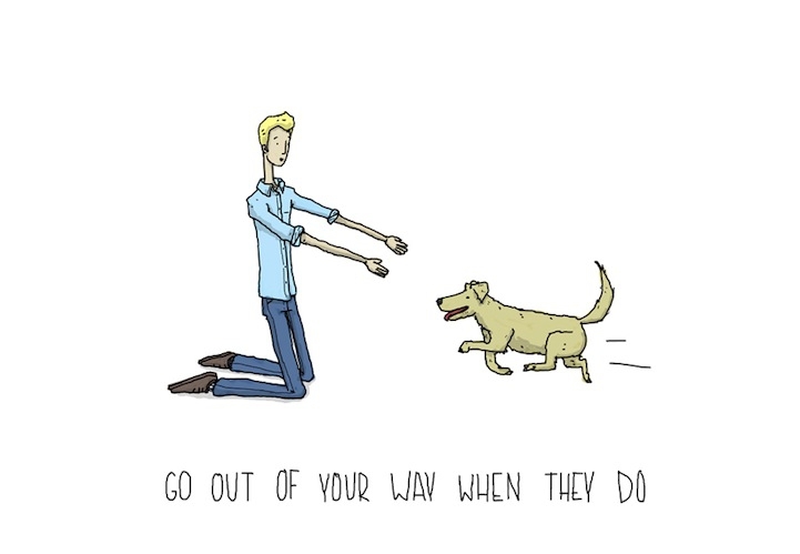 Seven Illustrated Lessons We Can All Learn From a Dog